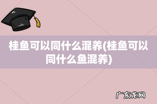 桂鱼可以同什么鱼混养 桂鱼可以同什么混养