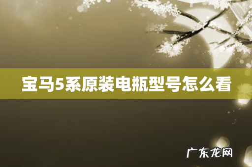 宝马5系原装电瓶型号怎么看