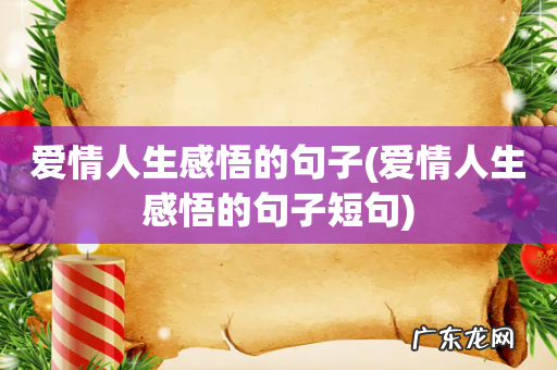 爱情人生感悟的句子短句 爱情人生感悟的句子