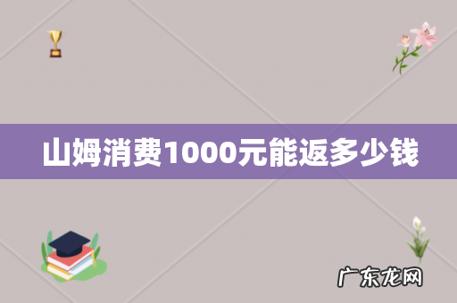 山姆消费1000元能返多少钱