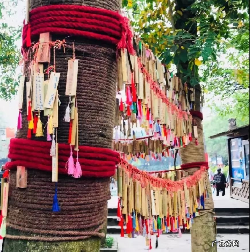 风水中的黄龙 黄龙溪风水