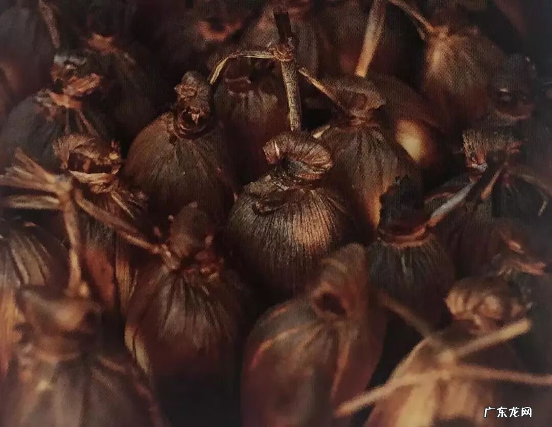 风水中的黄龙 黄龙溪风水