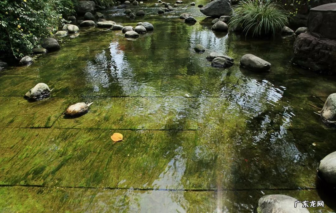 风水中的黄龙 黄龙溪风水