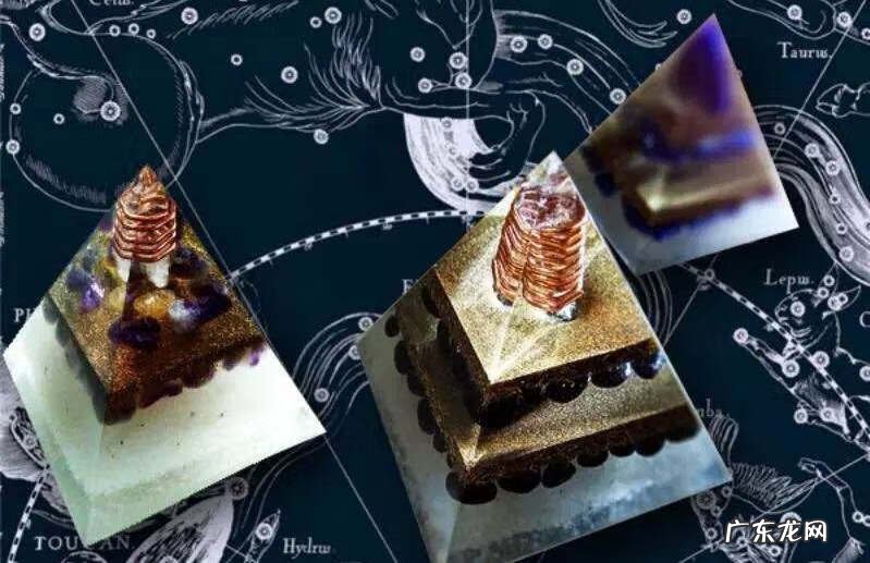 家居风水植物 改变家里风水的植物