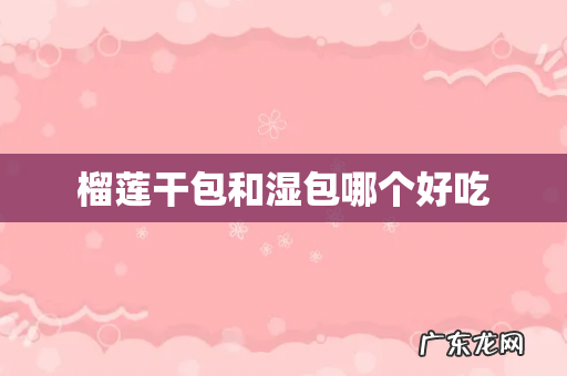 榴莲干包和湿包哪个好吃