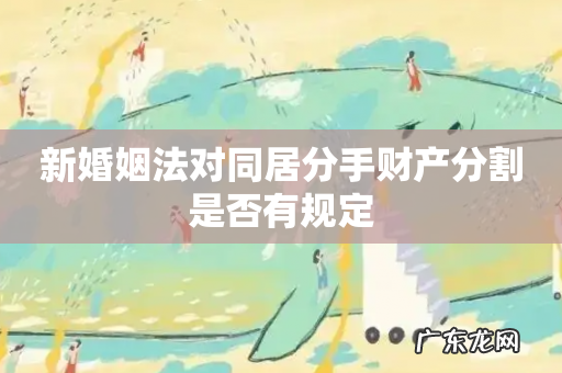 新婚姻法对同居分手财产分割是否有规定