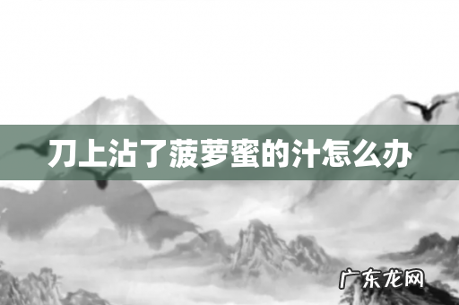 刀上沾了菠萝蜜的汁怎么办