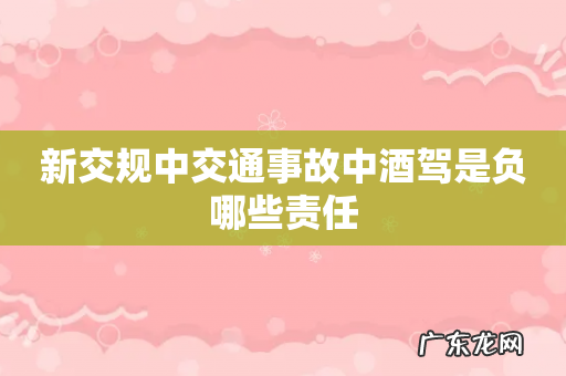 新交规中交通事故中酒驾是负哪些责任