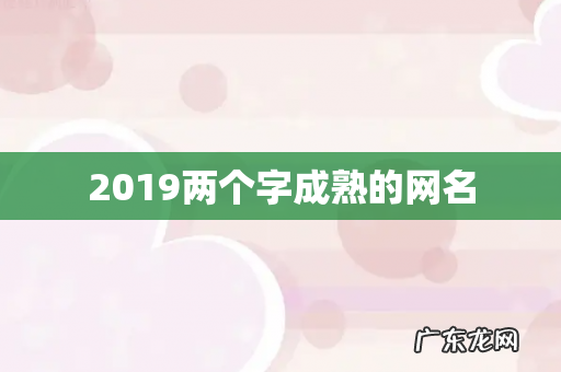 2019两个字成熟的网名