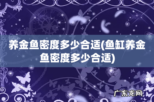 鱼缸养金鱼密度多少合适 养金鱼密度多少合适