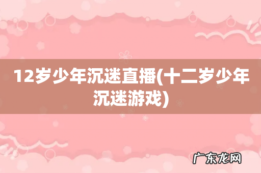 十二岁少年沉迷游戏 12岁少年沉迷直播