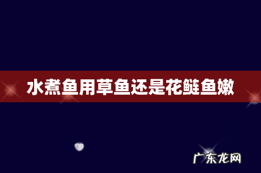 水煮鱼用草鱼还是花鲢鱼嫩