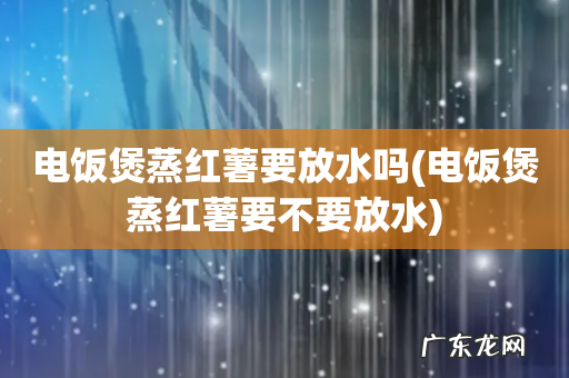 电饭煲蒸红薯要不要放水 电饭煲蒸红薯要放水吗