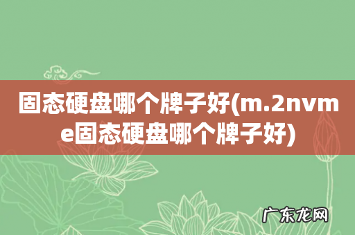 m.2nvme固态硬盘哪个牌子好 固态硬盘哪个牌子好