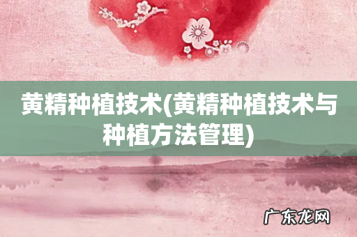 黄精种植技术与种植方法管理 黄精种植技术