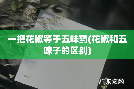 花椒和五味子的区别 一把花椒等于五味药