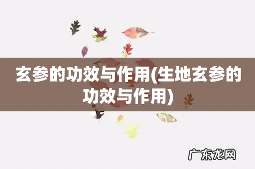 生地玄参的功效与作用 玄参的功效与作用