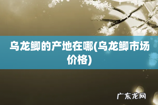 乌龙鲫市场价格 乌龙鲫的产地在哪