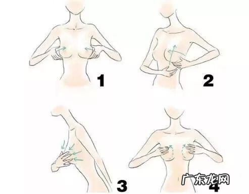最有效的丰乳霜是哪一款 丰乳霜真的能丰胸吗