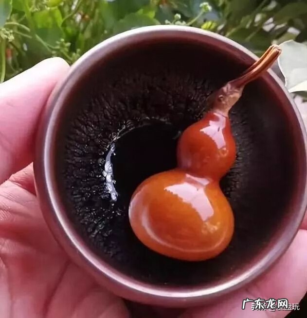 风水葫芦要不要带龙头 风水葫芦需要套子吗