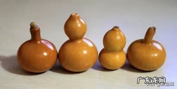 风水葫芦要不要带龙头 风水葫芦需要套子吗