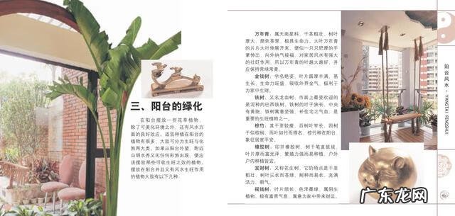 室内软装ppt 关于室内风水的PPT