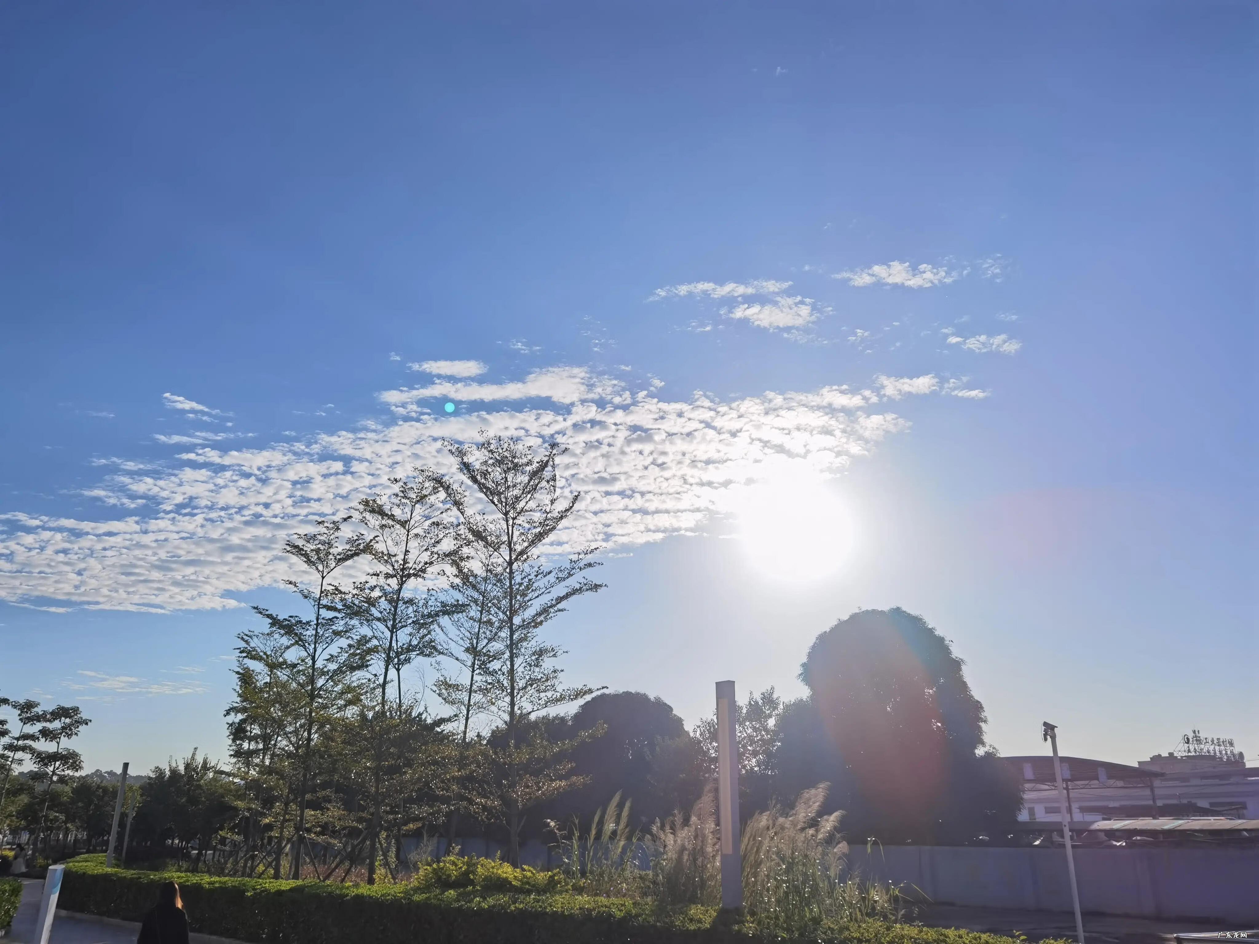 如果那是无尽的黑暗 陷入无尽的黑暗