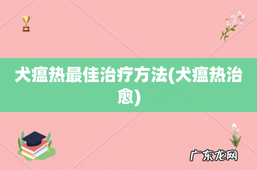犬瘟热治愈 犬瘟热最佳治疗方法