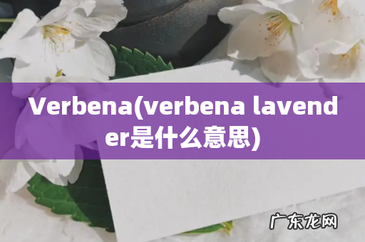 verbena lavender是什么意思 Verbena