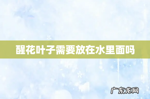 醒花叶子需要放在水里面吗