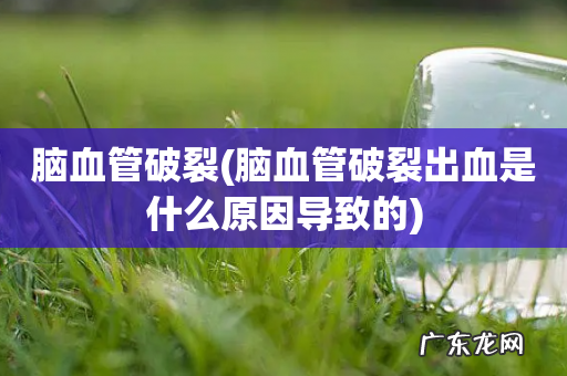 脑血管破裂出血是什么原因导致的 脑血管破裂