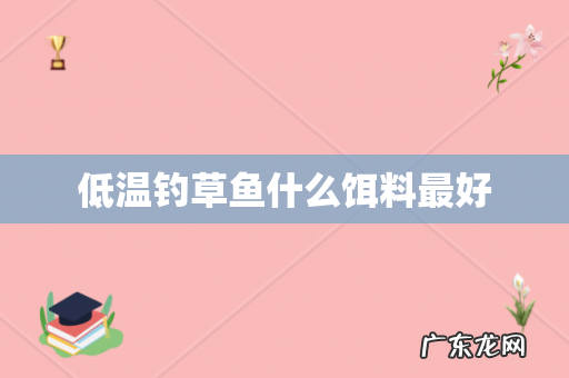 低温钓草鱼什么饵料最好