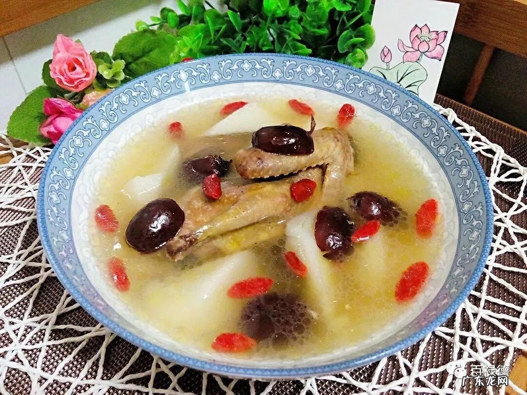 白鸽子的功效与作用 白鸽的功效与作用