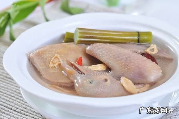 白鸽子的功效与作用 白鸽的功效与作用