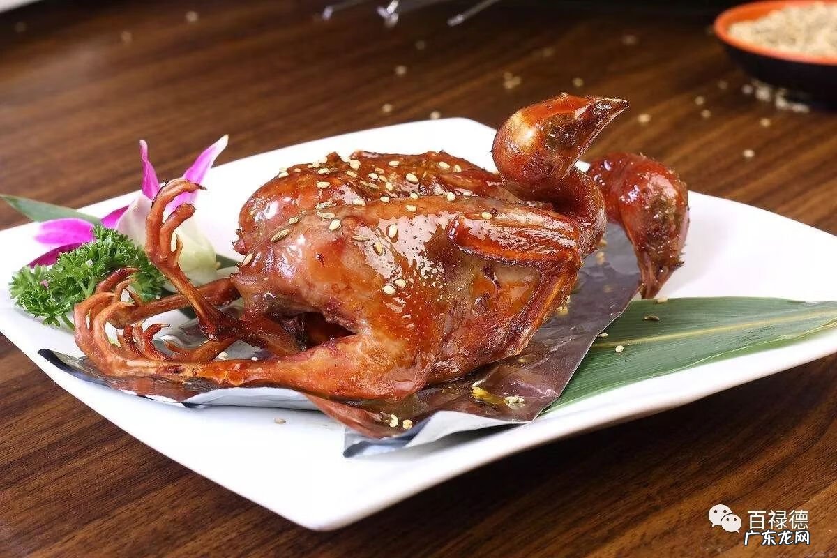 白鸽子的功效与作用 白鸽的功效与作用