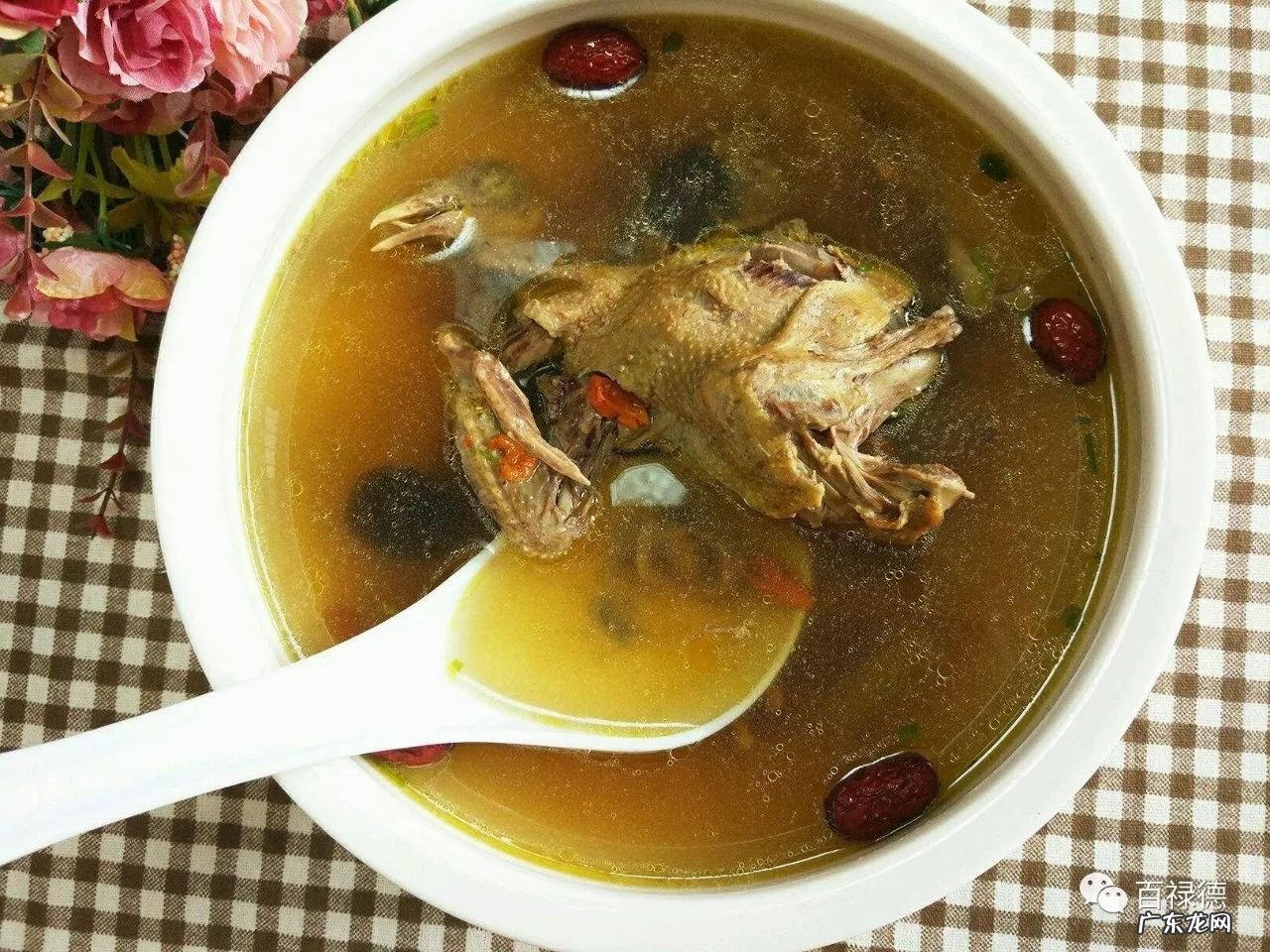 白鸽子的功效与作用 白鸽的功效与作用