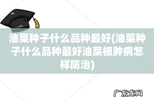 油菜种子什么品种最好油菜根肿病怎样防治 油菜种子什么品种最好