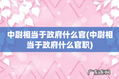 中尉相当于政府什么官职 中尉相当于政府什么官