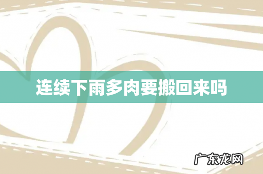 连续下雨多肉要搬回来吗