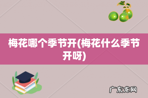 梅花什么季节开呀 梅花哪个季节开