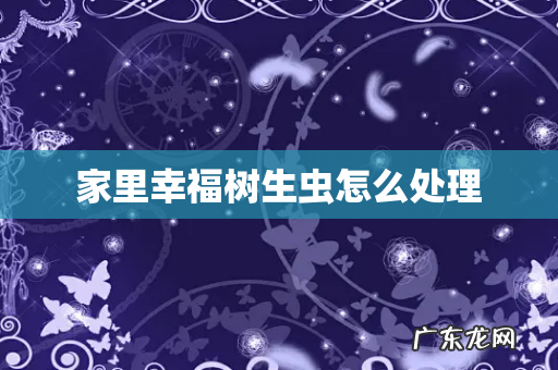 家里幸福树生虫怎么处理