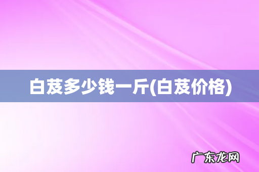 白芨价格 白芨多少钱一斤