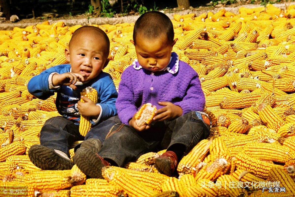 写童年趣事的作文