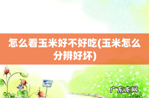 玉米怎么分辨好坏 怎么看玉米好不好吃