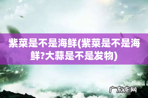 紫菜是不是海鲜?大蒜是不是发物 紫菜是不是海鲜