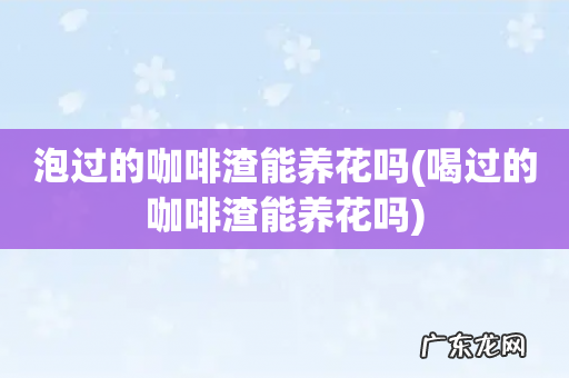 喝过的咖啡渣能养花吗 泡过的咖啡渣能养花吗