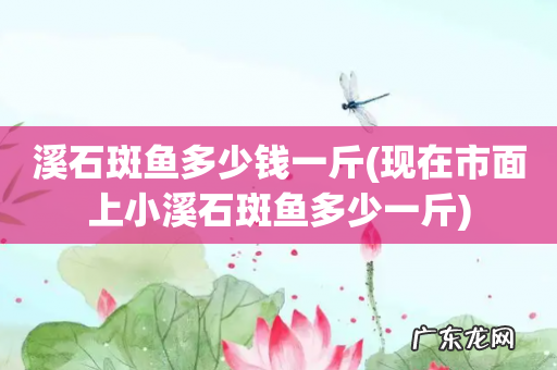 现在市面上小溪石斑鱼多少一斤 溪石斑鱼多少钱一斤
