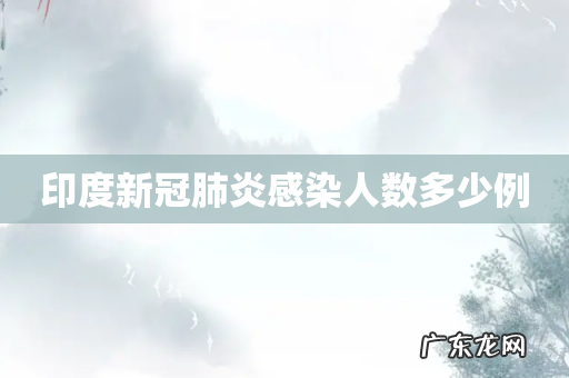 印度新冠肺炎感染人数多少例