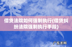借贷纠纷法院强制执行手段 借贷法院如何强制执行