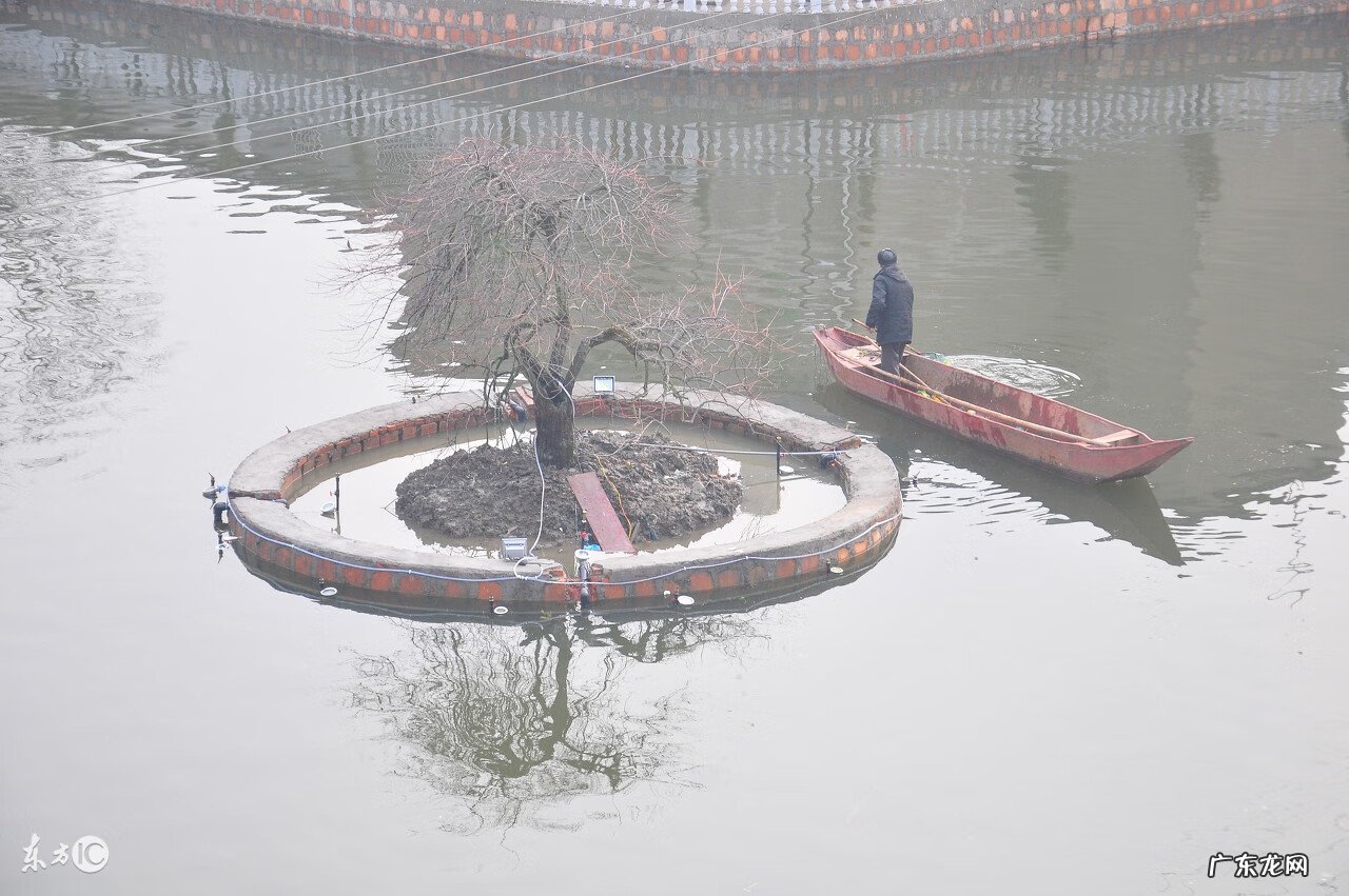 丑山未向是什么朝向 九运丑山未向风水详解